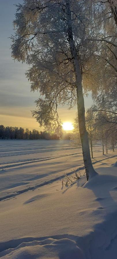 Hotelli Sodankylae Esterno foto